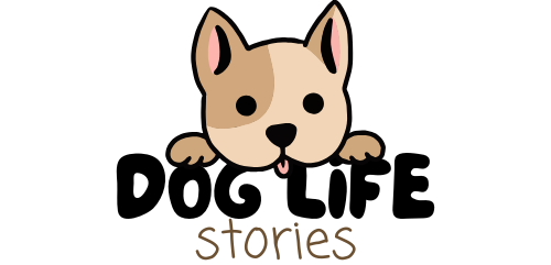 Dogs Life Stories