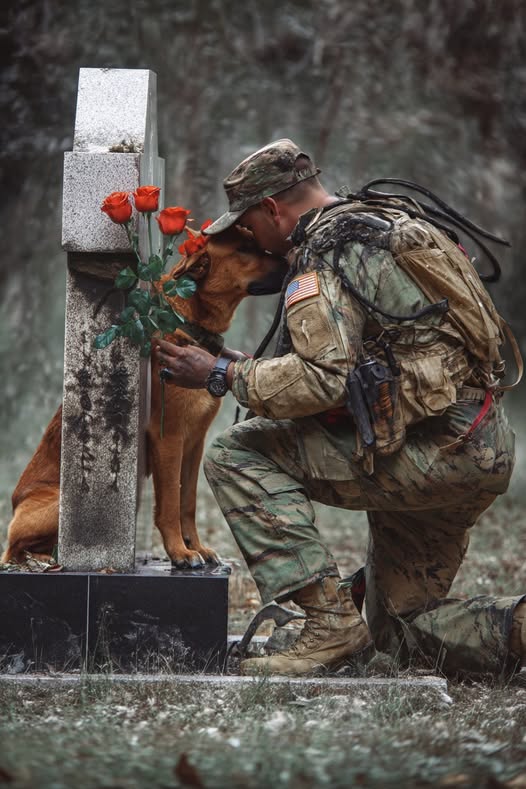 The Last Mission: A Soldier’s Unbreakable Bond with His Fallen K9 Hero