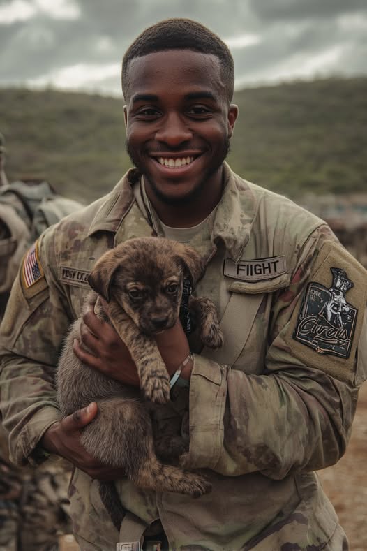 Unwavering Loyalty: The Heartbreaking Bond Between Corporal Marcus James and His K9 Companion, Scout, and the Devastating Loss That Changed Their Lives Forever
